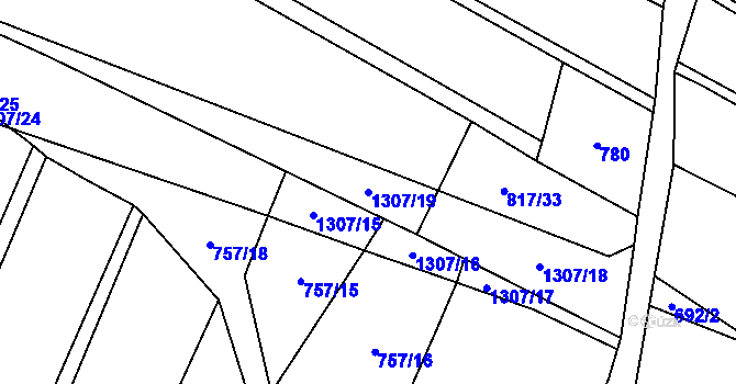 Parcela st. 1307/19 v KÚ Bílkov, Katastrální mapa