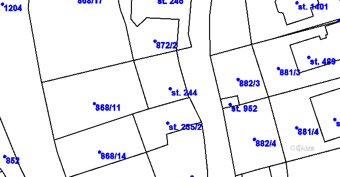 Parcela st. 244 v KÚ Bílovice nad Svitavou, Katastrální mapa