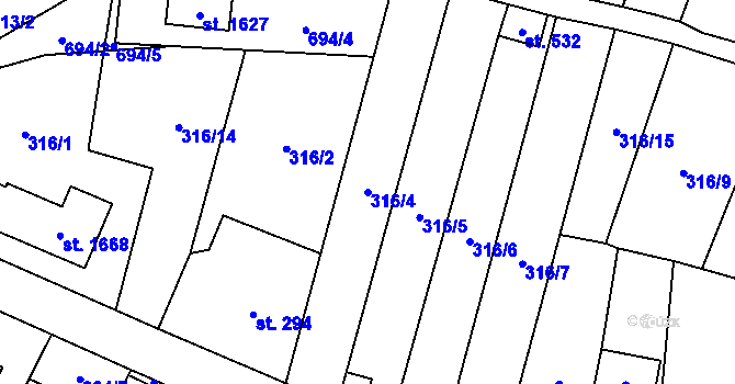 Parcela st. 316/4 v KÚ Bílovice nad Svitavou, Katastrální mapa