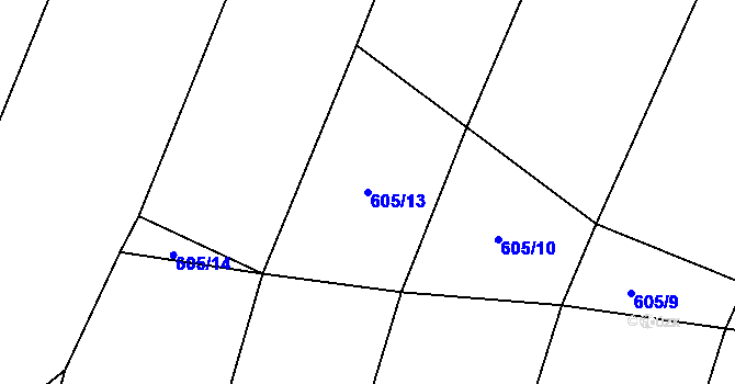 Parcela st. 605/13 v KÚ Cakov, Katastrální mapa