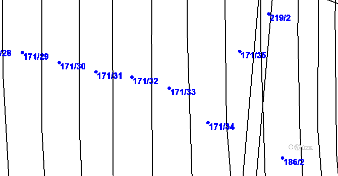 Parcela st. 171/33 v KÚ Loučka u Bílska, Katastrální mapa