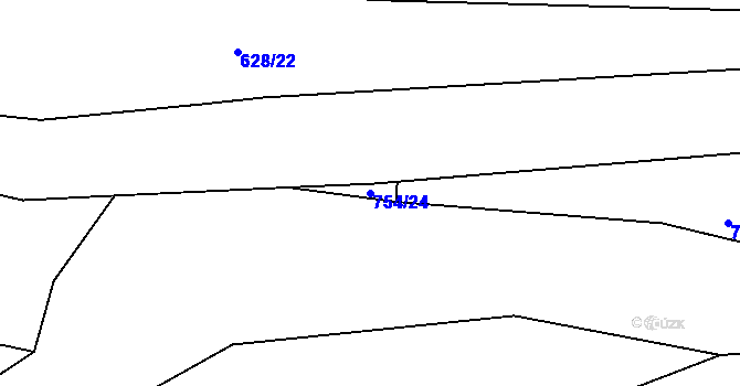 Parcela st. 754/24 v KÚ Loučka u Bílska, Katastrální mapa