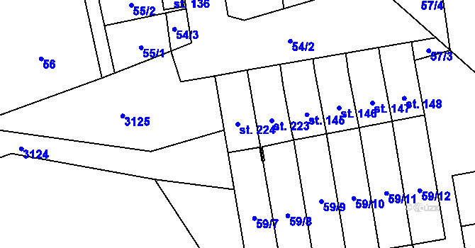 Parcela st. 224 v KÚ Bílý Újezd u Dobrušky, Katastrální mapa