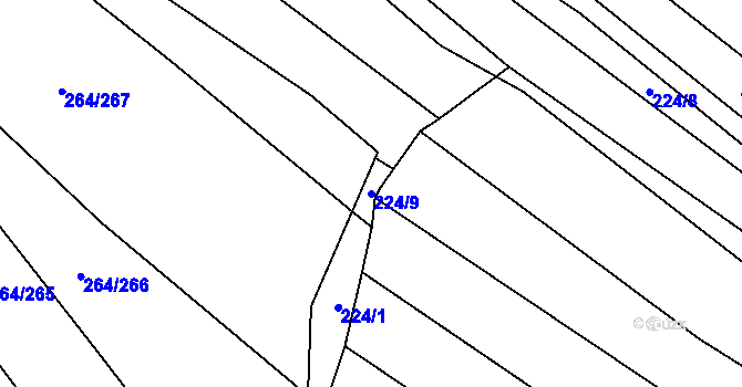 Parcela st. 224/9 v KÚ Biskoupky na Moravě, Katastrální mapa