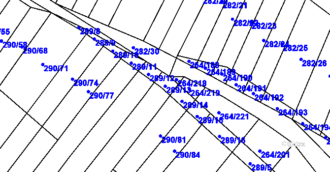 Parcela st. 289/13 v KÚ Biskoupky na Moravě, Katastrální mapa