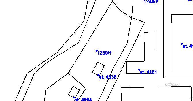 Parcela st. 1250/1 v KÚ Blansko, Katastrální mapa