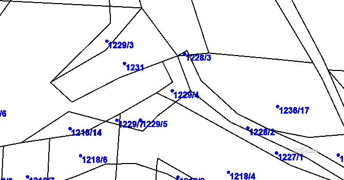Parcela st. 1229/4 v KÚ Blansko, Katastrální mapa