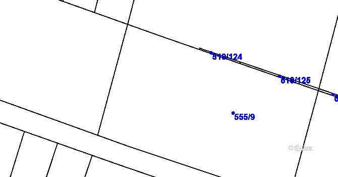 Parcela st. 555/62 v KÚ Blatnice u Nýřan, Katastrální mapa