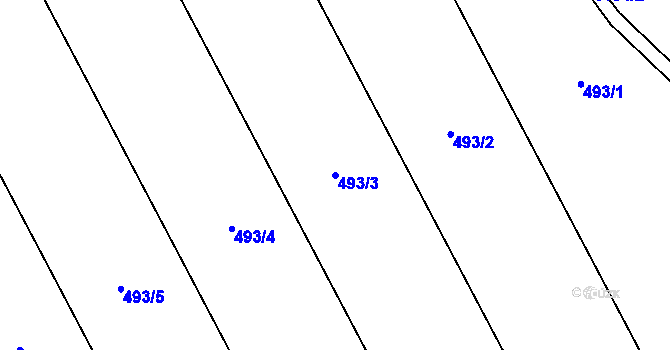 Parcela st. 493/3 v KÚ Blažkov, Katastrální mapa