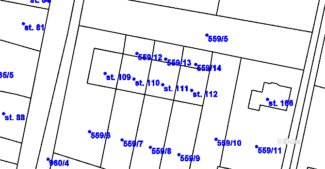 Parcela st. 111 v KÚ Blešno, Katastrální mapa