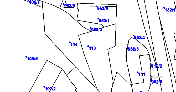 Parcela st. 113 v KÚ Blížejov, Katastrální mapa