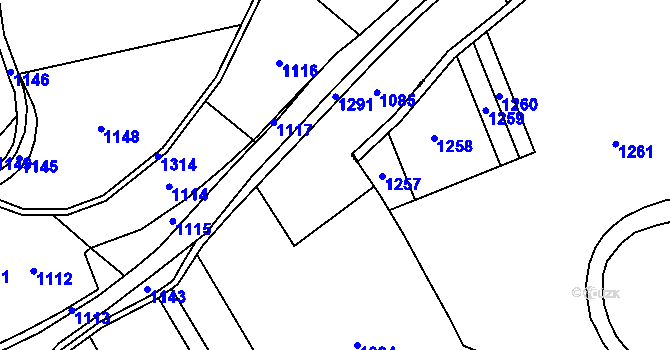 Parcela st. 555 v KÚ Chotiměř u Blížejova, Katastrální mapa