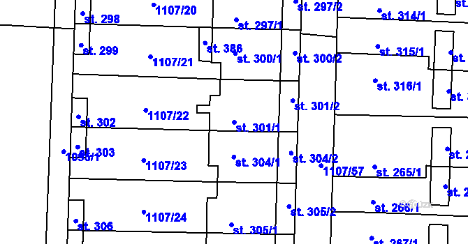 Parcela st. 301/1 v KÚ Blšany, Katastrální mapa