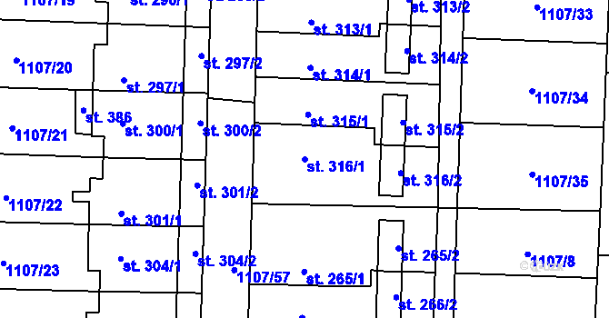 Parcela st. 316/1 v KÚ Blšany, Katastrální mapa