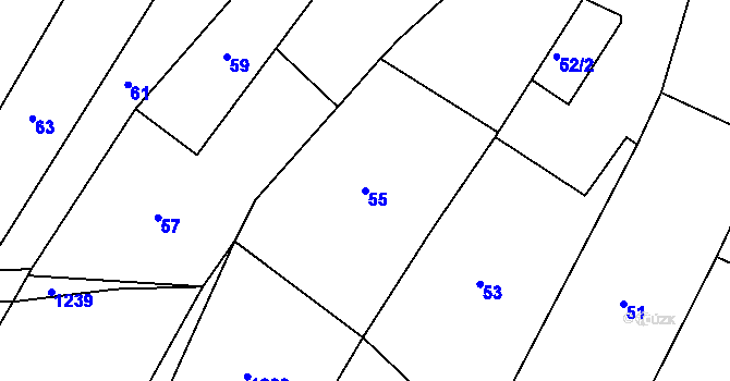 Parcela st. 55 v KÚ Blučina, Katastrální mapa