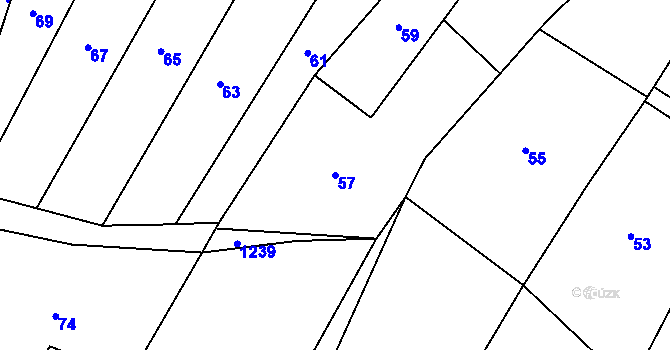 Parcela st. 57 v KÚ Blučina, Katastrální mapa
