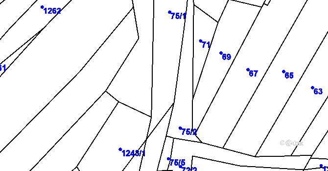 Parcela st. 75 v KÚ Blučina, Katastrální mapa