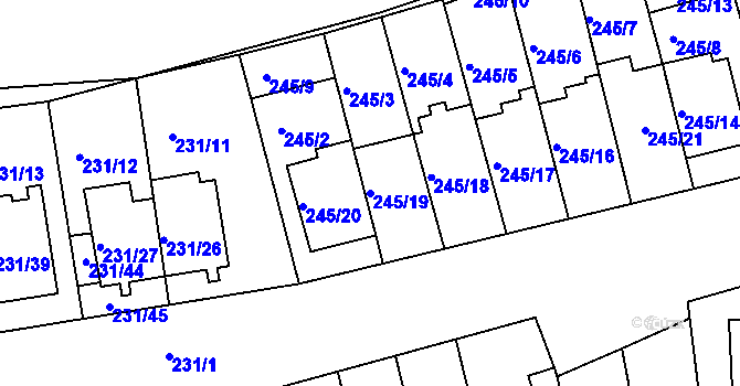 Parcela st. 245/19 v KÚ Blučina, Katastrální mapa