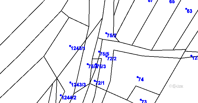 Parcela st. 75/5 v KÚ Blučina, Katastrální mapa