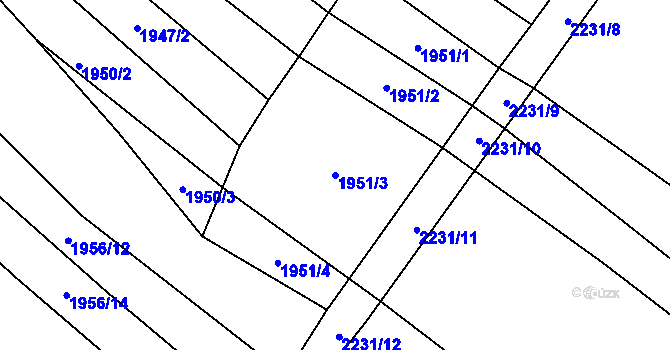 Parcela st. 1951/3 v KÚ Blučina, Katastrální mapa