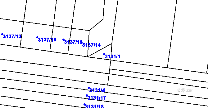 Parcela st. 3131/1 v KÚ Blučina, Katastrální mapa