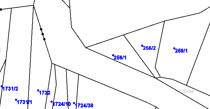 Parcela st. 256/1 v KÚ Bludovice u Nového Jičína, Katastrální mapa