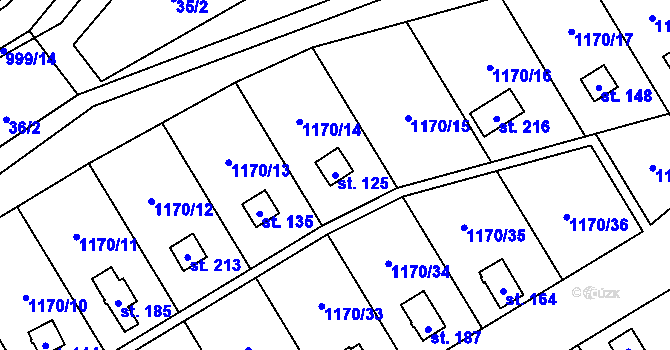 Parcela st. 125 v KÚ Pavlovice, Katastrální mapa