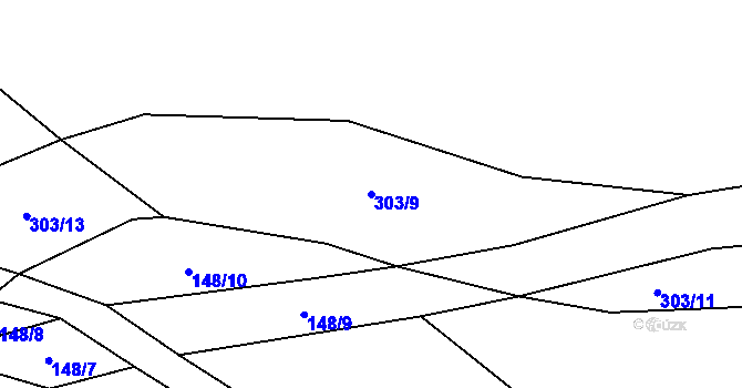 Parcela st. 303/9 v KÚ Kotoučov, Katastrální mapa