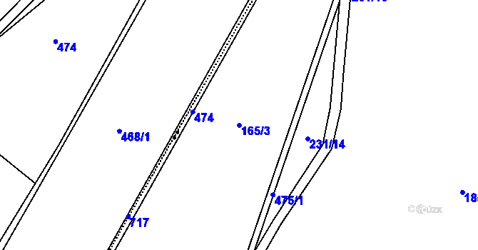 Parcela st. 165/3 v KÚ Raškov Dvůr, Katastrální mapa