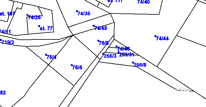 Parcela st. 256/3 v KÚ Polomí, Katastrální mapa