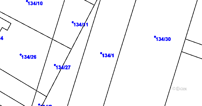 Parcela st. 134/1 v KÚ Bojanovice u Znojma, Katastrální mapa