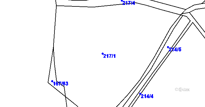 Parcela st. 217/1 v KÚ Svahová, Katastrální mapa