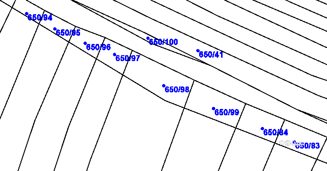 Parcela st. 650/98 v KÚ Boleradice, Katastrální mapa