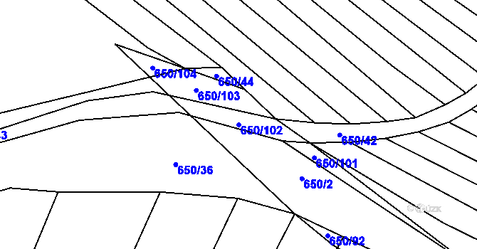 Parcela st. 650/102 v KÚ Boleradice, Katastrální mapa