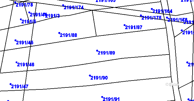 Parcela st. 2191/89 v KÚ Boleradice, Katastrální mapa