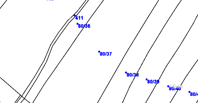 Parcela st. 80/37 v KÚ Bor, Katastrální mapa