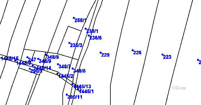 Parcela st. 229 v KÚ Bor, Katastrální mapa