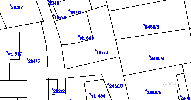 Parcela st. 197/3 v KÚ Bor u Tachova, Katastrální mapa
