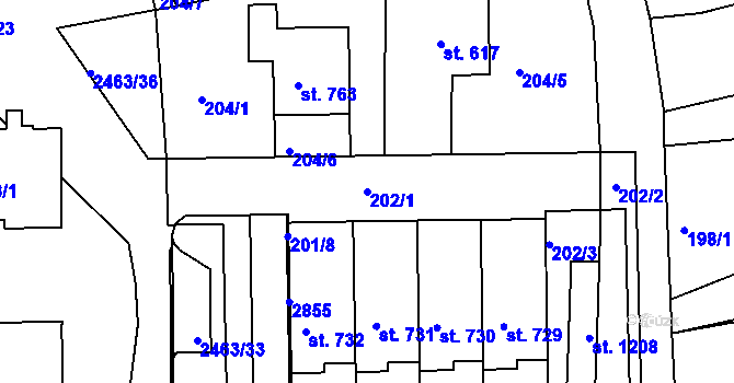 Parcela st. 202/1 v KÚ Bor u Tachova, Katastrální mapa