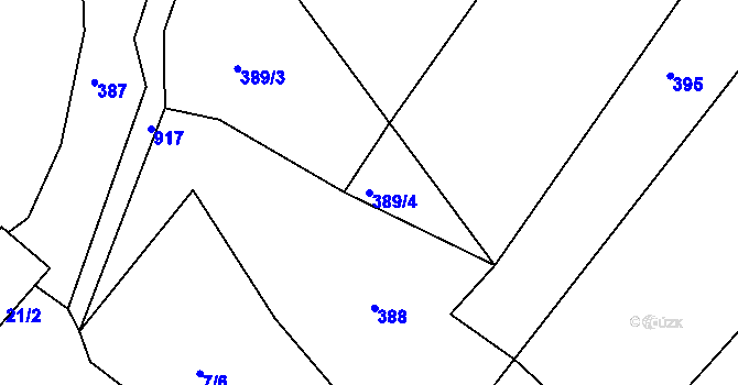 Parcela st. 389/4 v KÚ Bor u Skutče, Katastrální mapa