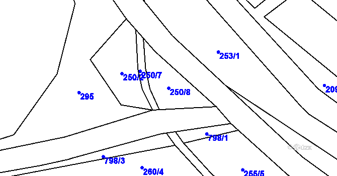 Parcela st. 250/8 v KÚ Borač, Katastrální mapa