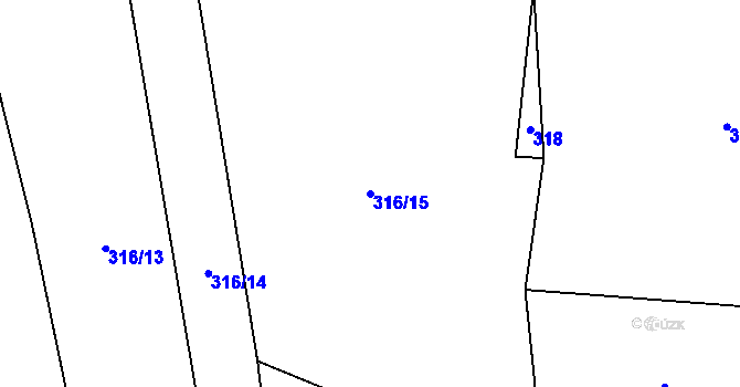 Parcela st. 316/15 v KÚ Borač, Katastrální mapa