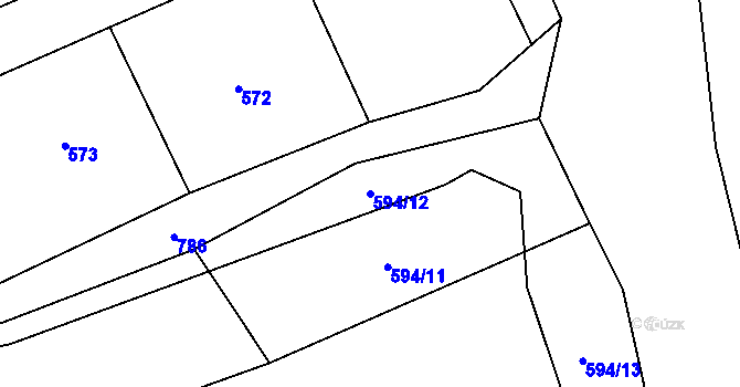 Parcela st. 594/12 v KÚ Borač, Katastrální mapa