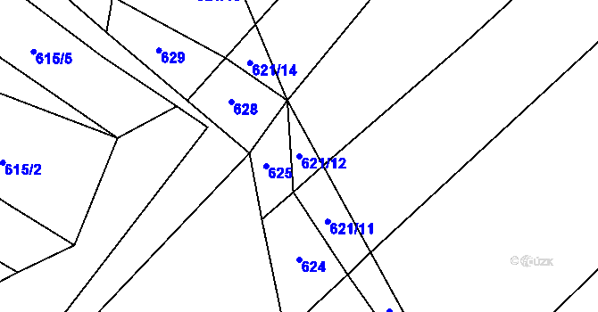 Parcela st. 621/12 v KÚ Borač, Katastrální mapa