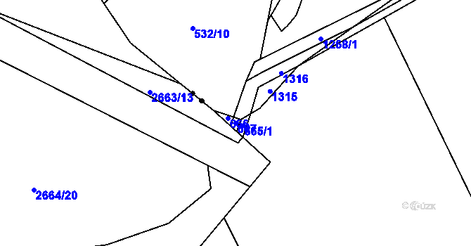 Parcela st. 667 v KÚ Borek u Dačic, Katastrální mapa