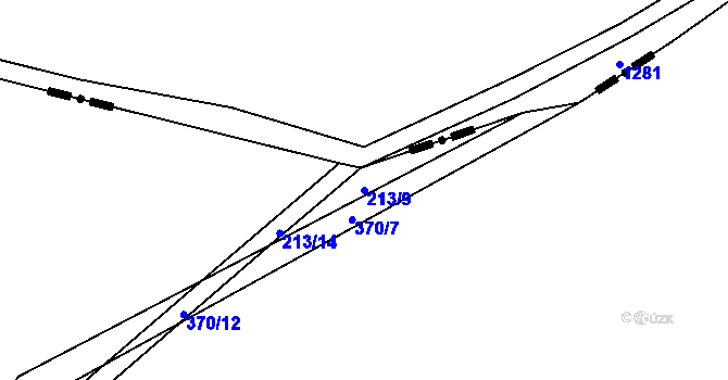 Parcela st. 213/9 v KÚ Borek u Miletína, Katastrální mapa