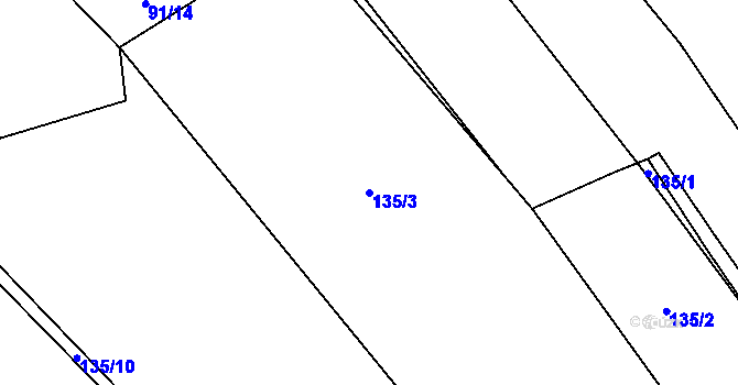 Parcela st. 135/3 v KÚ Borek, Katastrální mapa
