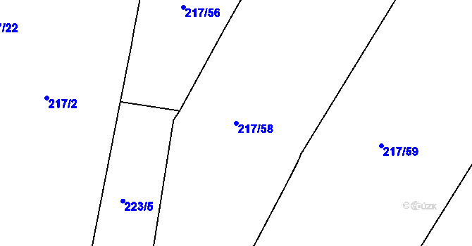 Parcela st. 217/58 v KÚ Borek, Katastrální mapa