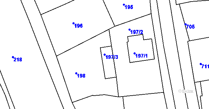 Parcela st. 197/3 v KÚ Borkovany, Katastrální mapa
