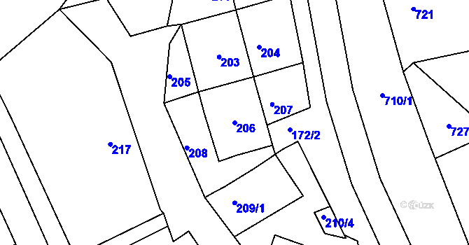 Parcela st. 206 v KÚ Borkovany, Katastrální mapa